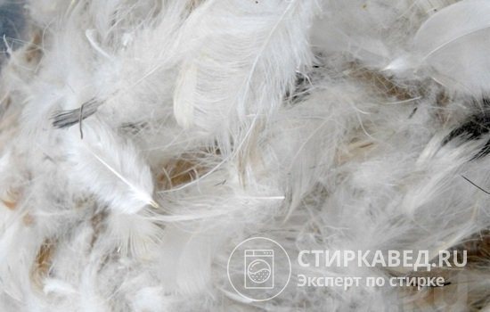 После стирки позаботьтесь о полном высушивании пера, чтобы не допустить размножения грибка и появления неприятного запаха