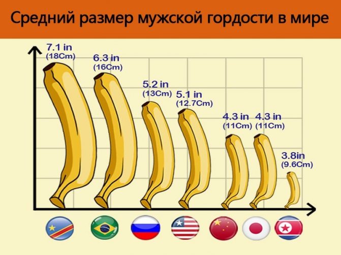 Размер члена во многом зависит от расы человека.